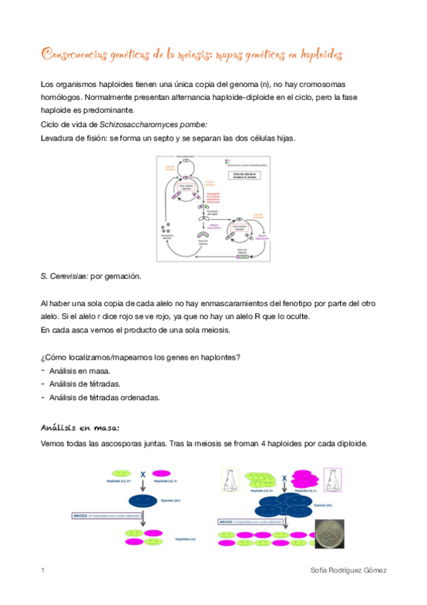 Miniatura del documento 9.pdf