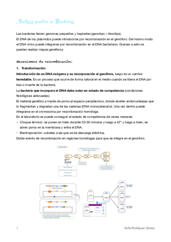 Miniatura del documento 11.pdf