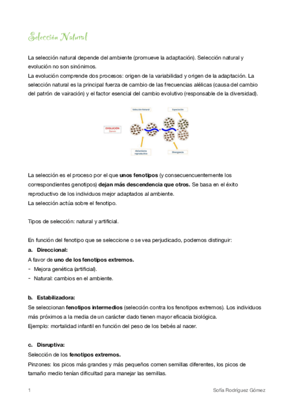 Miniatura del documento 14.pdf