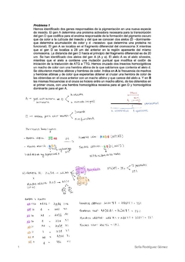 Miniatura del documento Serie-4compressed.pdf