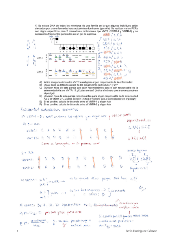 Miniatura del documento Serie-5compressed.pdf