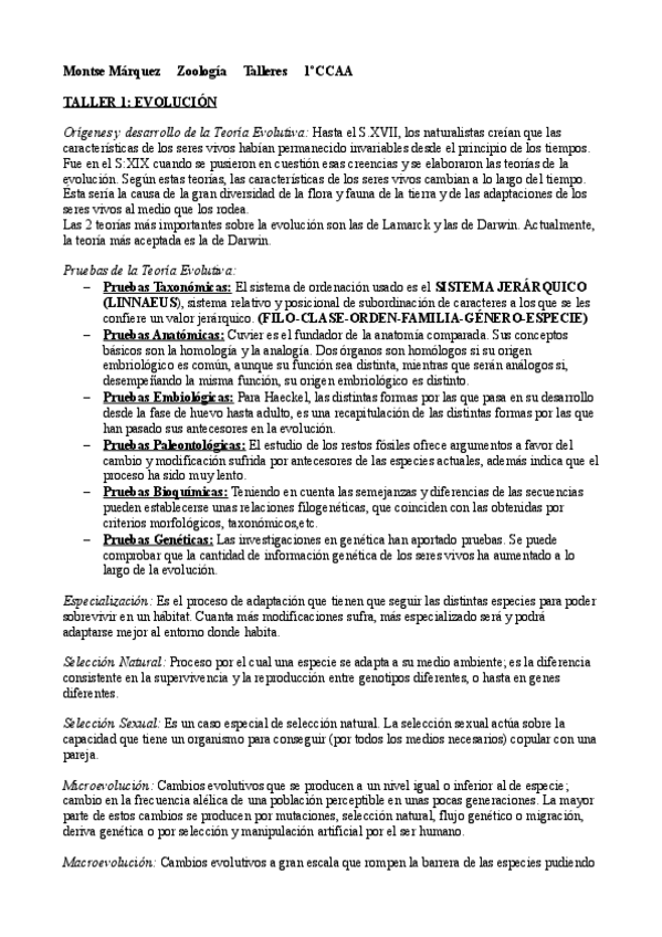 Miniatura del documento TALLERES.pdf