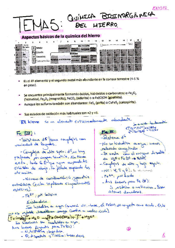 Miniatura del documento TEMA 5_QUÍMICA BIOINORGÁNICA DEL HIERRO.pdf