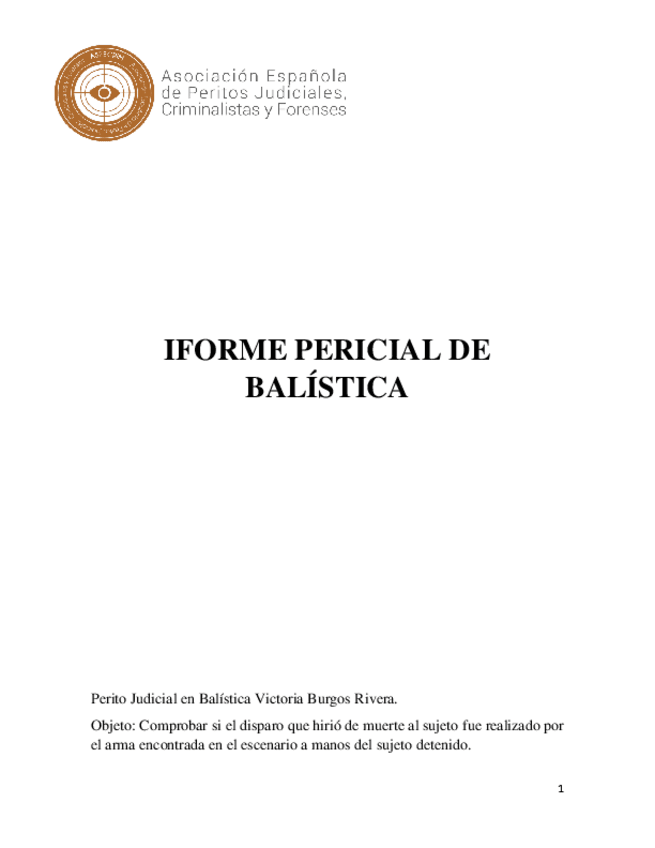 Miniatura del documento Informe pericial.pdf