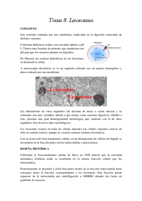 Miniatura del documento TEMA 8.pdf