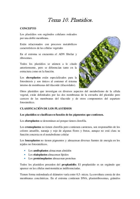 Miniatura del documento Tema 10.pdf