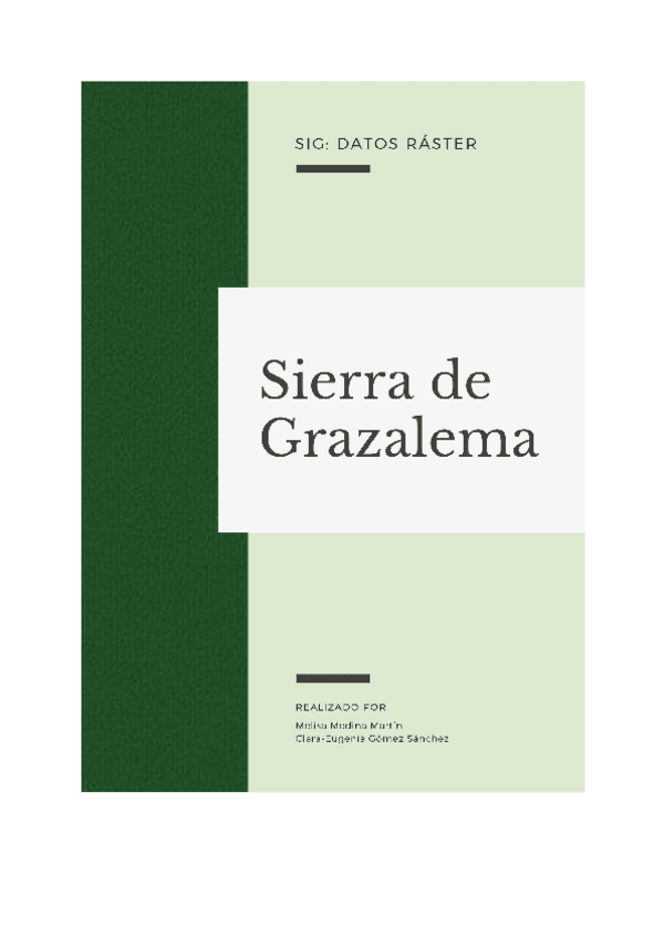 Miniatura del documento TRABAJO-RASTER.pdf