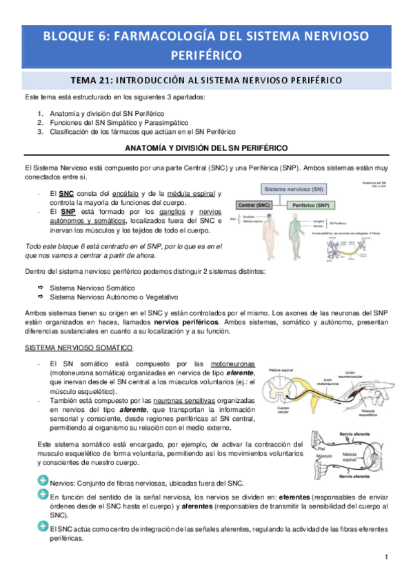 Miniatura del documento Tema-21.pdf