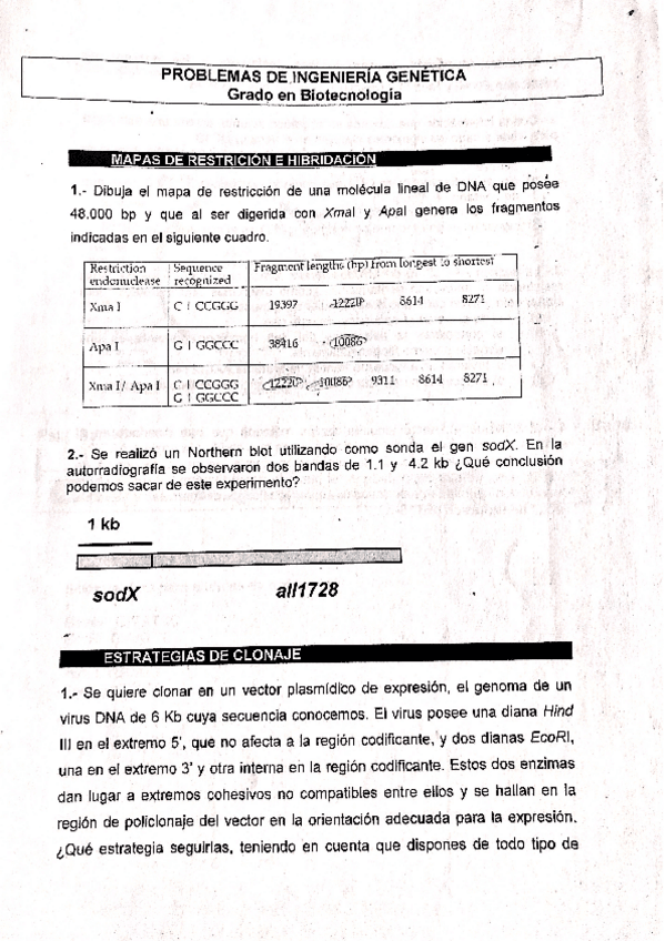 Miniatura del documento problemas-restriccion-hibridacion-y-clon.pdf
