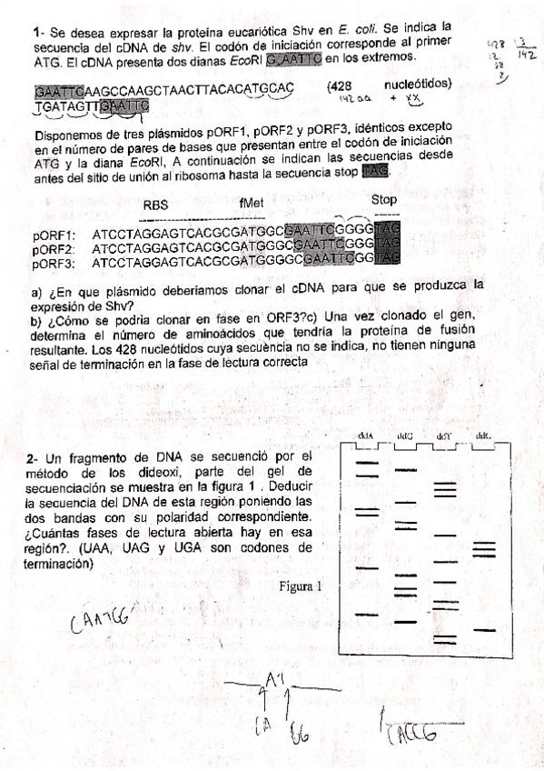 Miniatura del documento problemas-de-expresion-y-secuenciacion.pdf