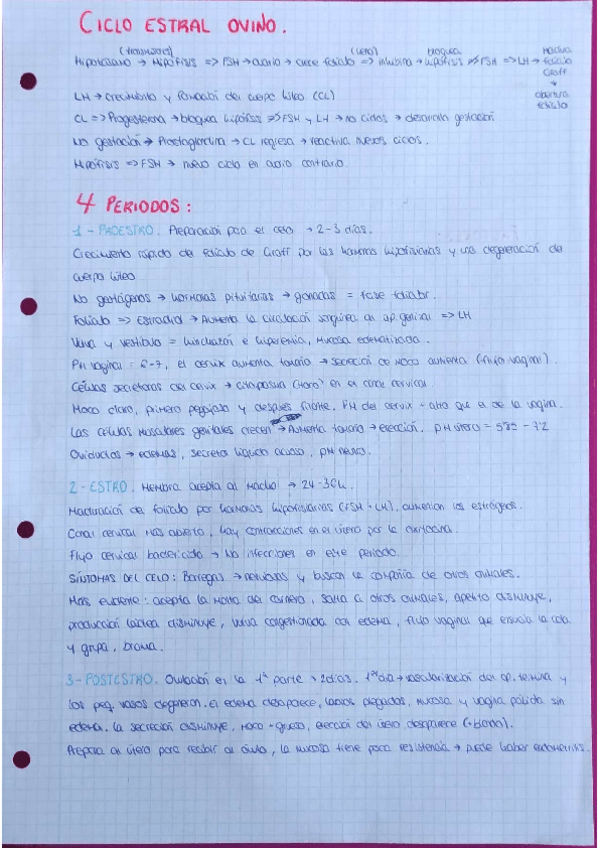 Miniatura del documento ciclo-estral-ovino.pdf
