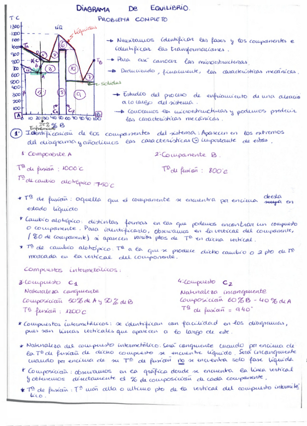Miniatura del documento Ejercicio-Explicativo-del-Diagrama-de-Equilibrio.pdf