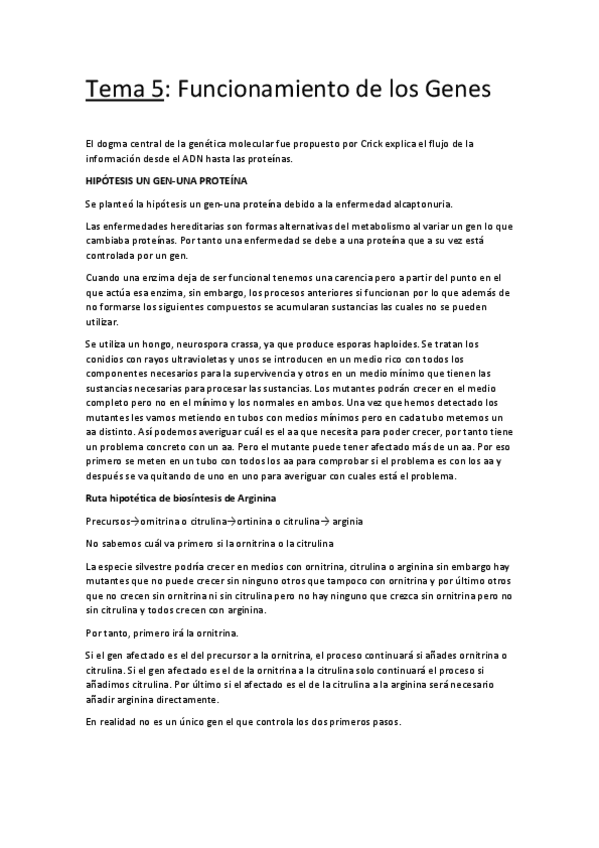 Miniatura del documento Tema 5.pdf