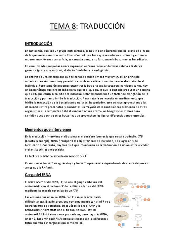 Miniatura del documento Tema 8.pdf