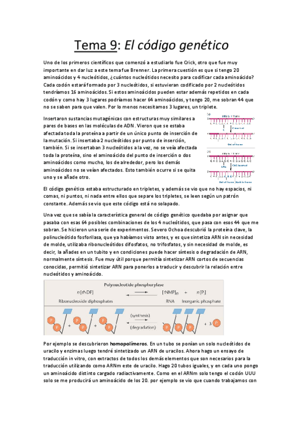 Miniatura del documento Tema 9.pdf