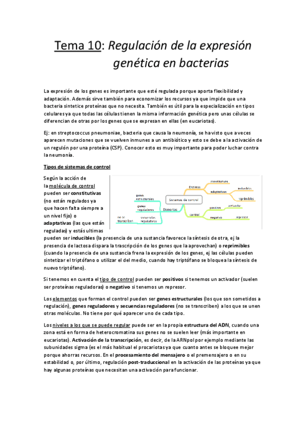 Miniatura del documento Tema 10.pdf