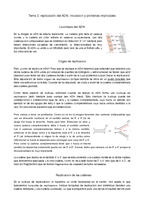 Miniatura del documento genetica-molecular-tema-3.pdf