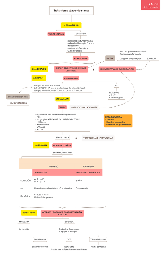 Miniatura del documento Tratamiento-cancer-de-mama.png