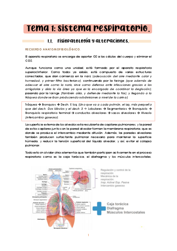 Miniatura del documento Tema-1-adulto-I.pdf