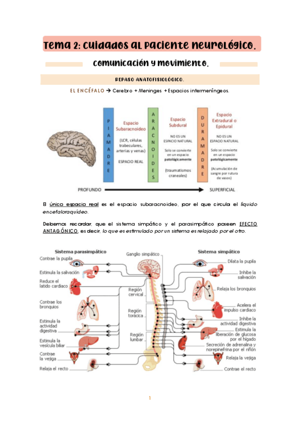 Miniatura del documento Tema-2-Adulto-I.pdf