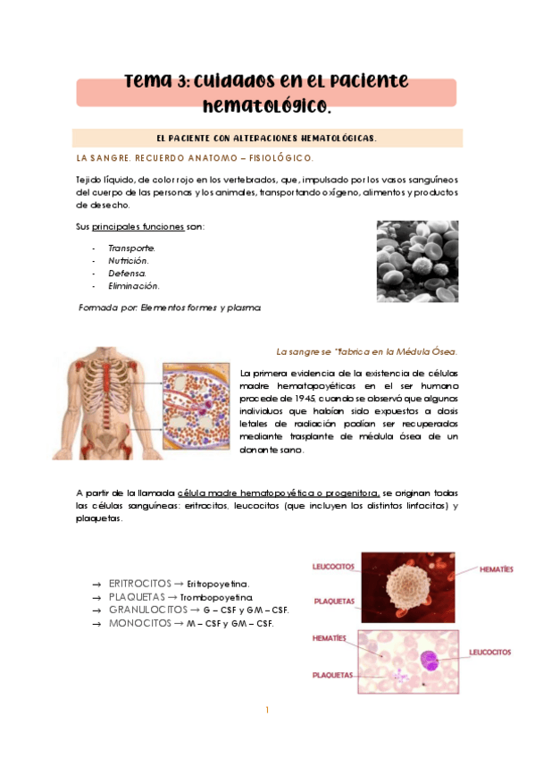 Miniatura del documento Tema-3-adulto-I.pdf