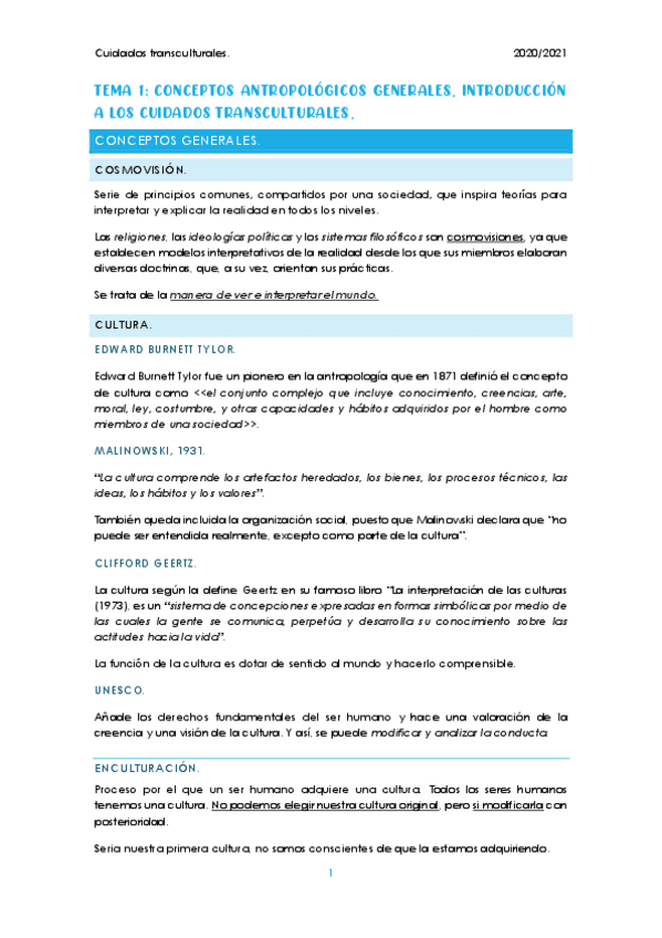 Miniatura del documento Cuidados-transculturales-2020-2021.pdf