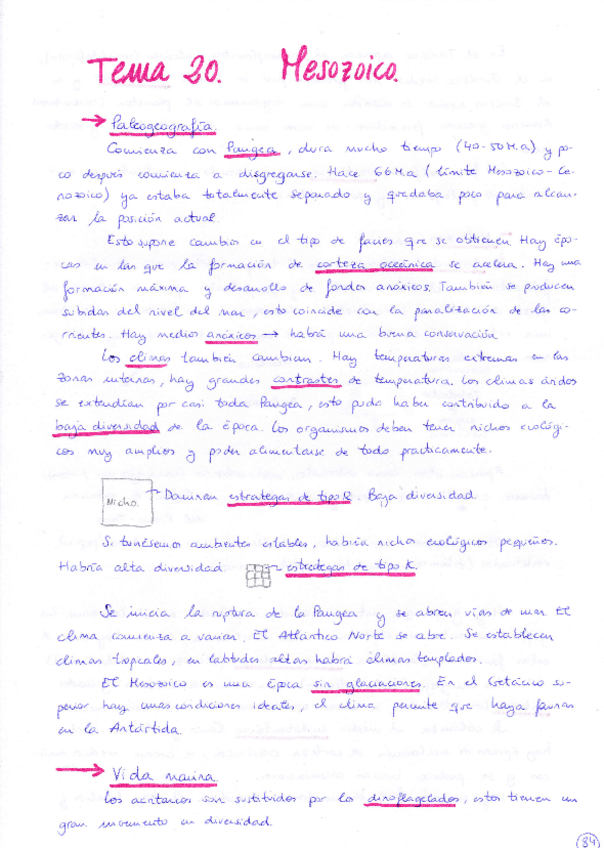 Miniatura del documento Tema 20 Mesozoico.pdf