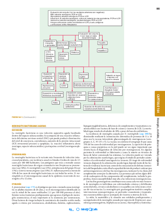 Miniatura del documento Meningitis-Harrison.pdf