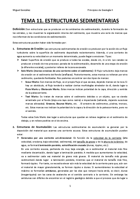 Miniatura del documento T11-ESTRUCTURAS SEDIMENTARIAS.pdf