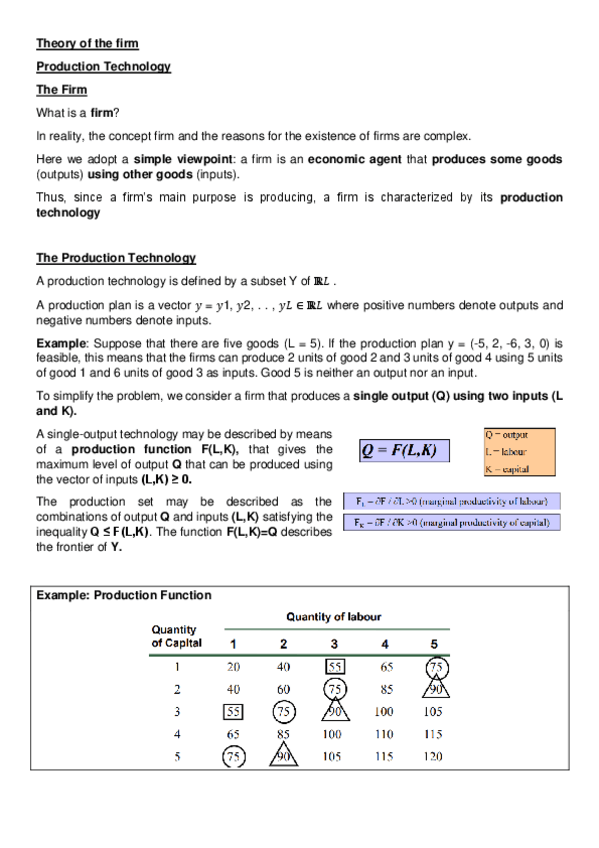 Miniatura del documento Theory-of-the-firm-Class-Notes.pdf