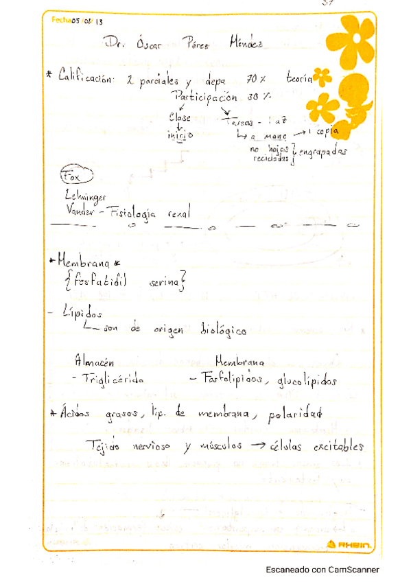 Miniatura del documento Apuntes.pdf