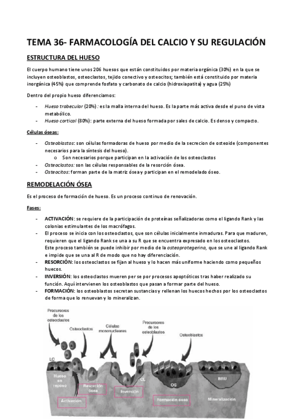 Miniatura del documento TEMA 36.pdf