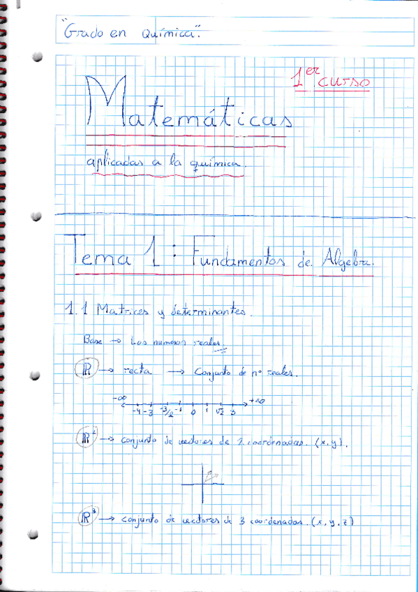 Miniatura del documento Tema-1.pdf