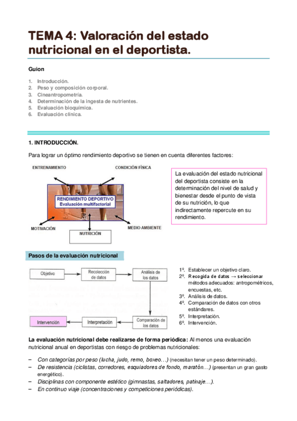 Miniatura del documento TEMA 4. Valoración del estado nutricional en el deportista.pdf