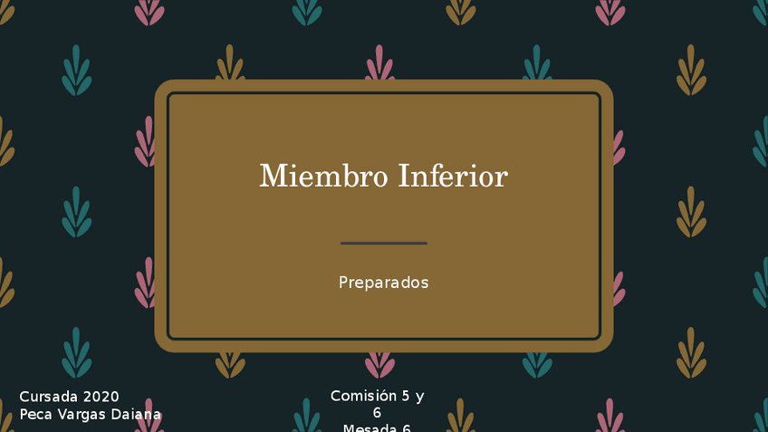 Miniatura del documento Miembro-Inferior-preparados.pptx