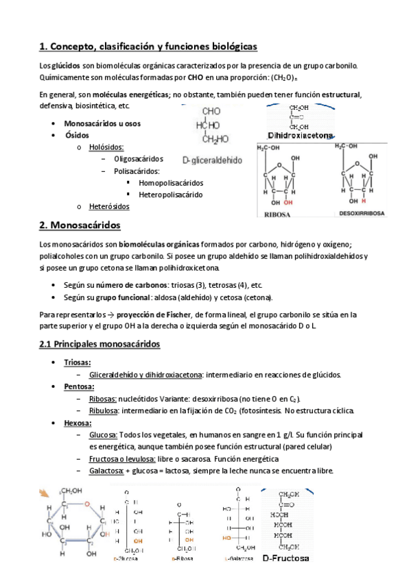 Miniatura del documento Resumen-Glucidos-Tema-2.pdf