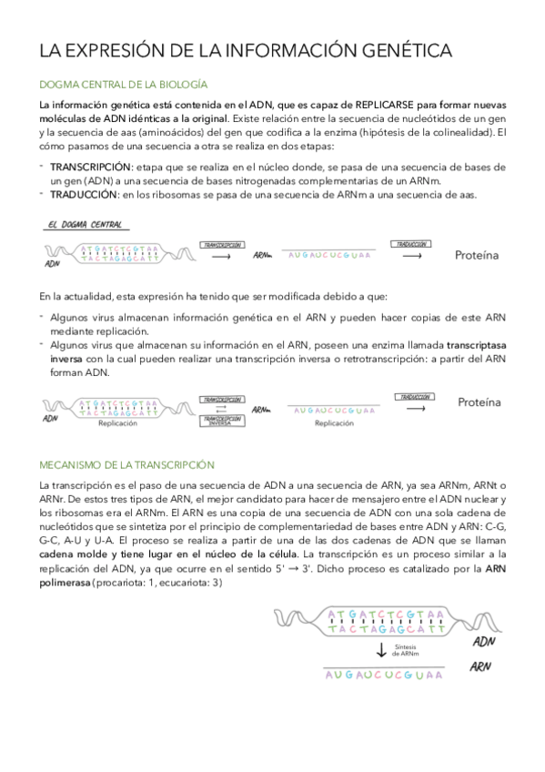 Miniatura del documento La-expresion-de-la-informacion-genetica-.pdf