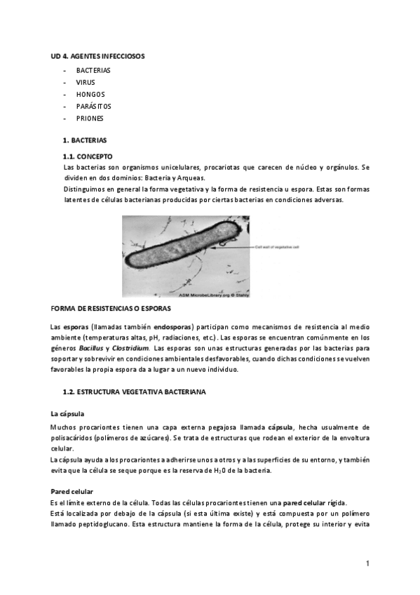 Miniatura del documento AGENTES-INFECCIOSOS.pdf