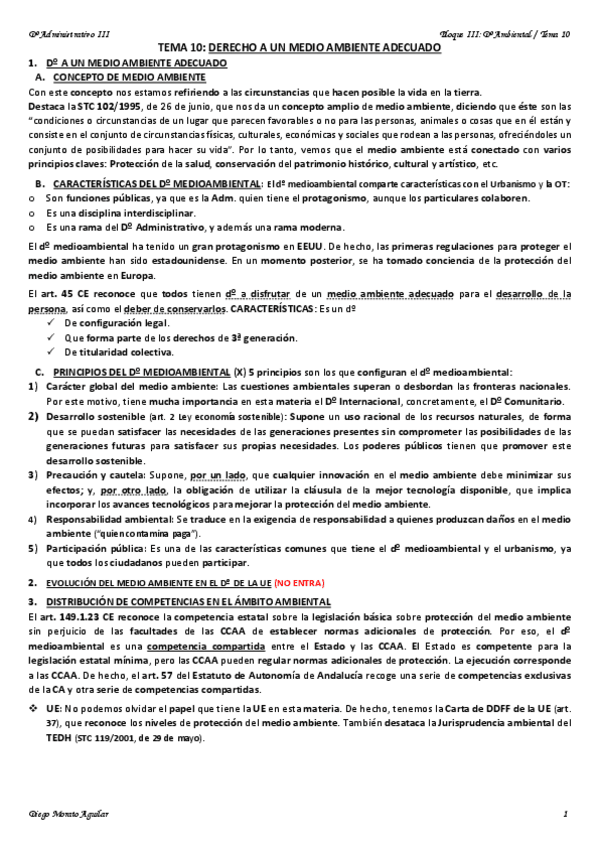 Miniatura del documento TEMA 10 ADMINISTRATIVO III.pdf