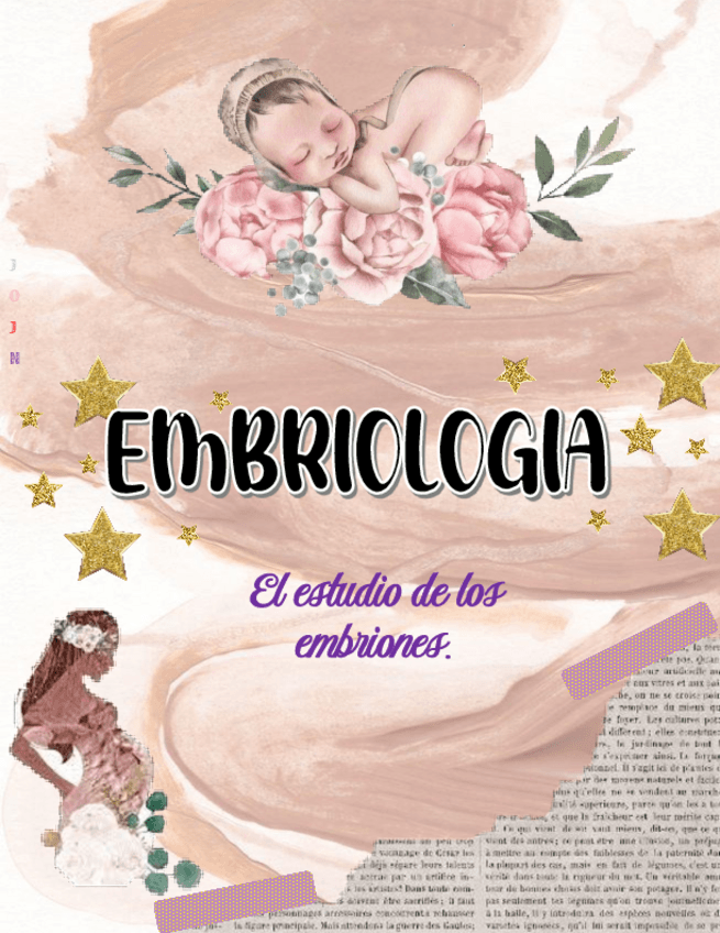 Miniatura del documento EMBRIOLOGIA.pdf