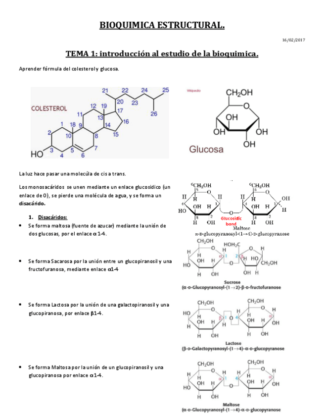 Miniatura del documento Bioquimica Estructural.pdf