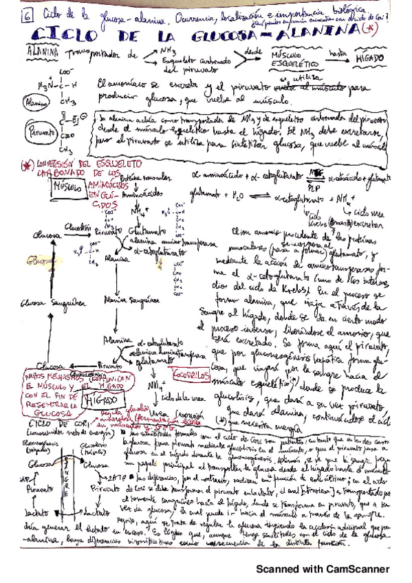 Miniatura del documento 4.pdf
