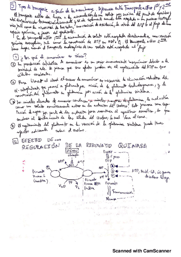 Miniatura del documento 5.pdf