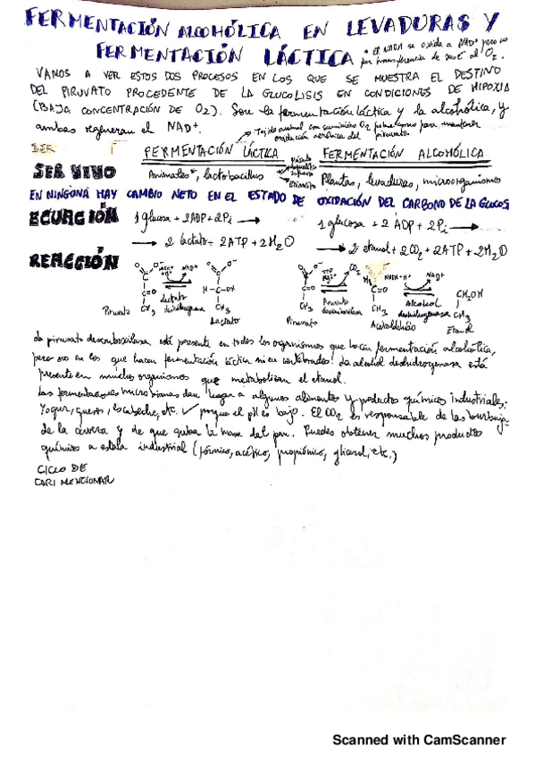 Miniatura del documento 7.pdf
