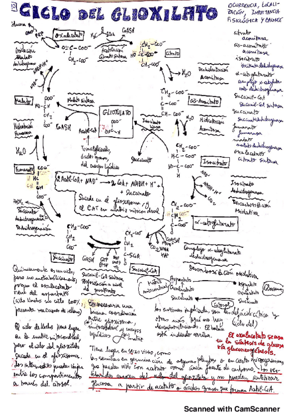 Miniatura del documento 8.pdf