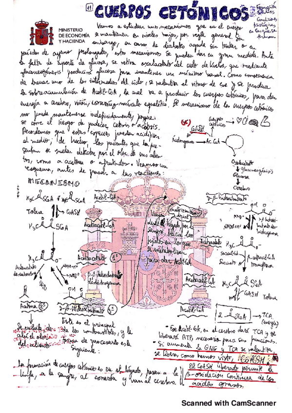 Miniatura del documento 9.pdf