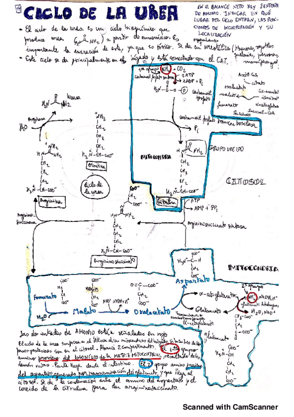 Miniatura del documento 11.pdf