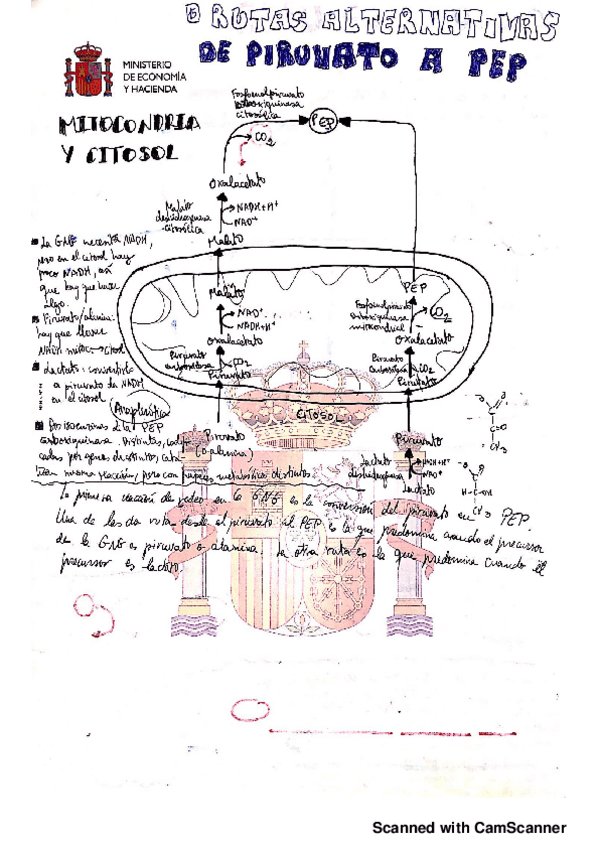 Miniatura del documento 12.pdf