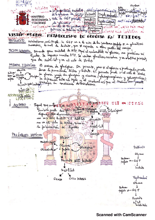 Miniatura del documento 14.pdf