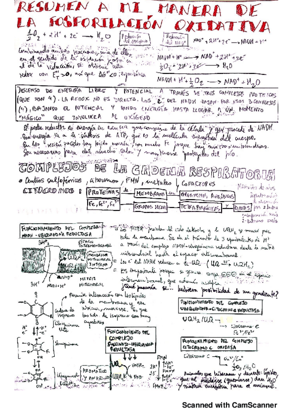 Miniatura del documento 16.pdf